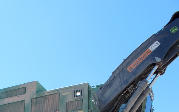 Discussing the project