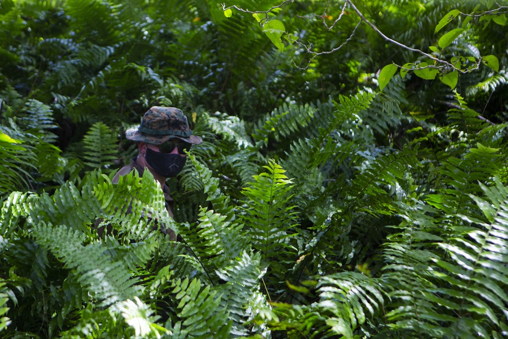 TF KM20 EOD Medevac in Peleliu