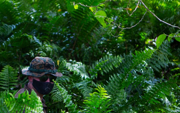 TF KM20 EOD Medevac in Peleliu
