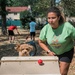 Dog agility obstacle course installed as a part of Eagle Scout project