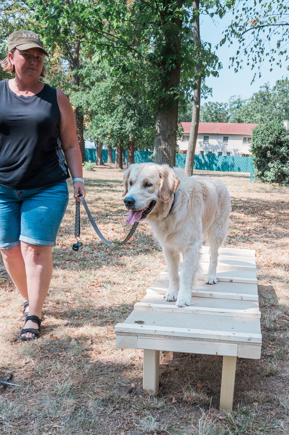 Dog agility obstacle course installed as a part of Eagle Scout project