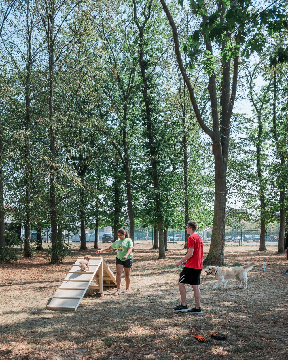 Dog agility obstacle course installed as a part of Eagle Scout project