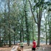 Dog agility obstacle course installed as a part of Eagle Scout project