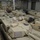 MSC Green Ridge 30th ABCT export