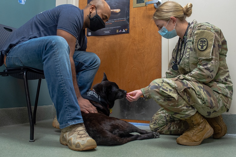 Shaw vet keeps pets safe