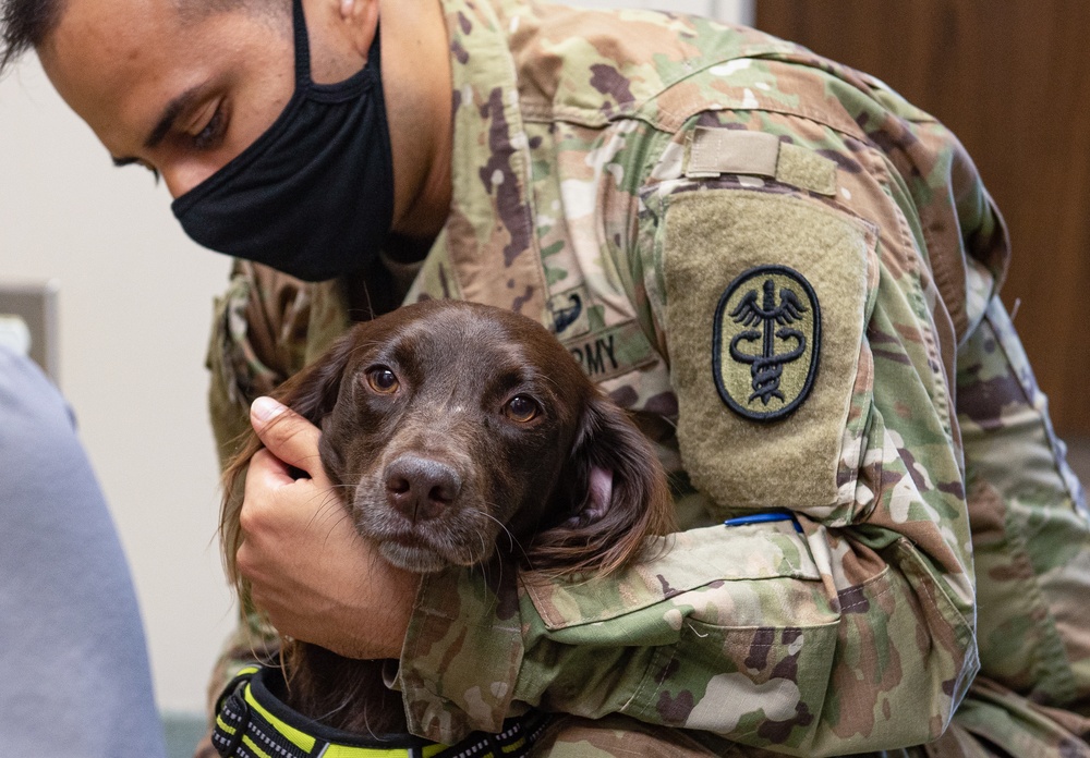 Shaw vet keeps pets safe