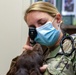 Shaw vet keeps pets safe