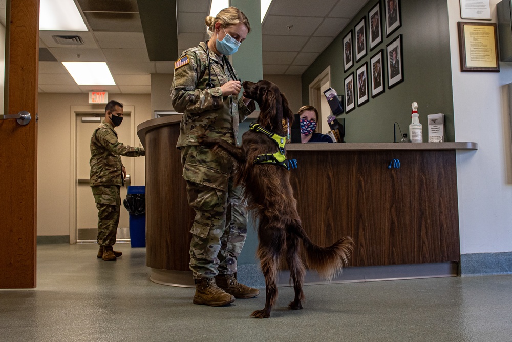 Shaw vet keeps pets safe