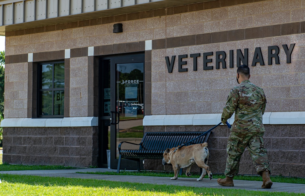 Shaw vet keeps pets safe