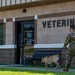 Shaw vet keeps pets safe