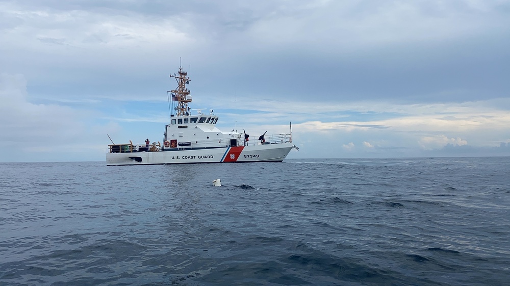 Coast Guard rescues sea turtle entangled in fishing trap line near Cape May, New Jersey