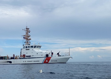 Coast Guard rescues sea turtle entangled in fishing trap line near Cape May, New Jersey