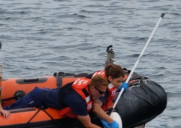 Coast Guard rescues sea turtle entangled in fishing trap line near Cape May, New Jersey