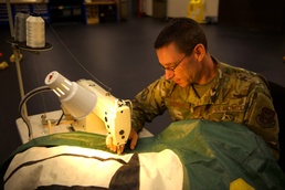 Blood Sweat and Tears Sewn into History