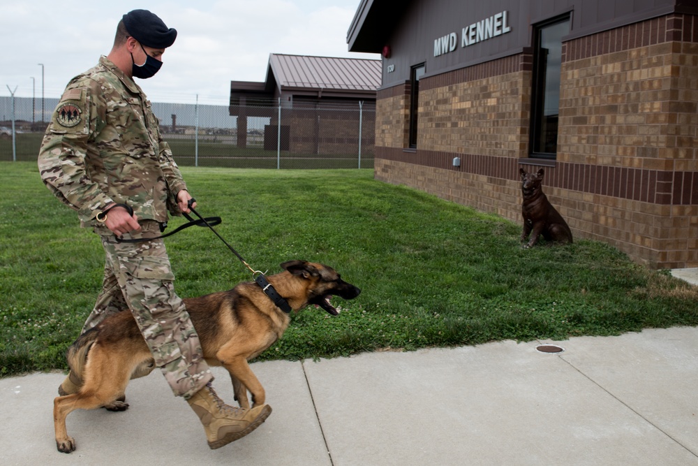 New MWD arrives at Whiteman AFB
