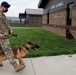New MWD arrives at Whiteman AFB