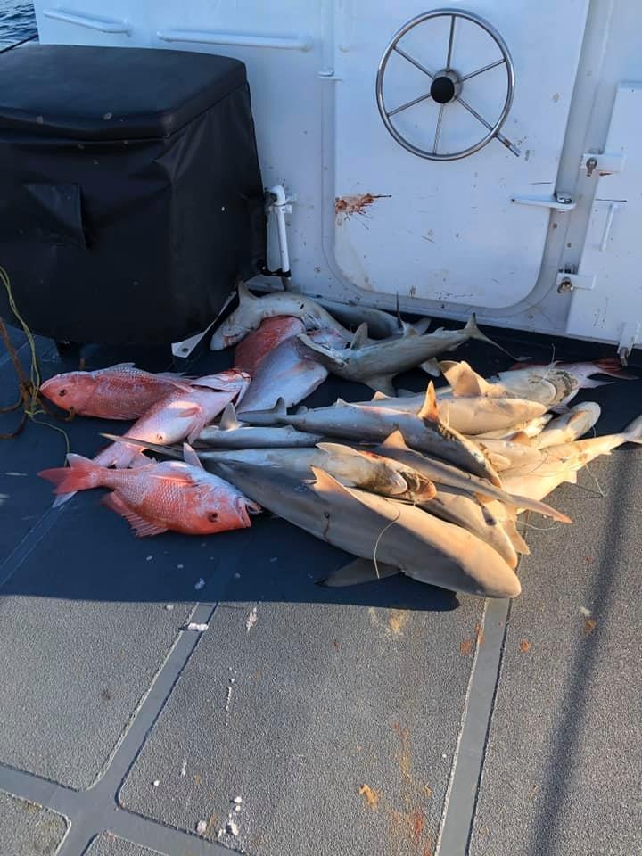 Coast Guard Cutter Sturgeon Recovers Illegal Longline Fishing Gear