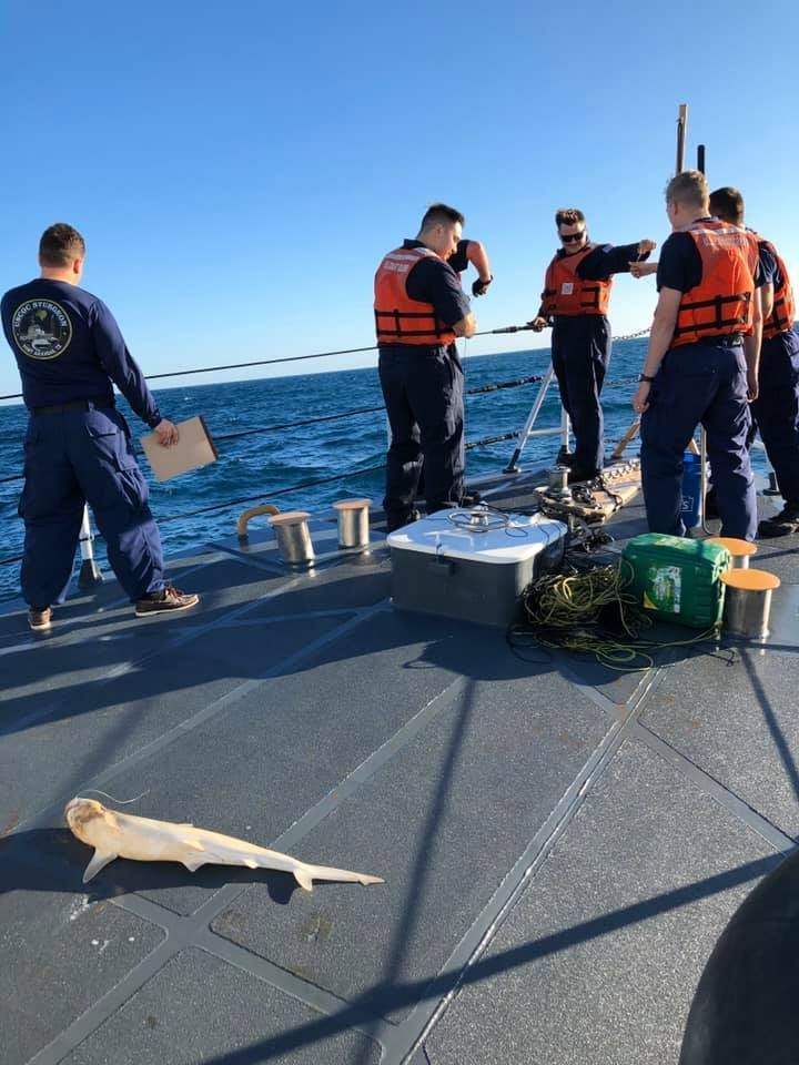 DVIDS - Images - Coast Guard Cutter Sturgeon Recovers Illegal
