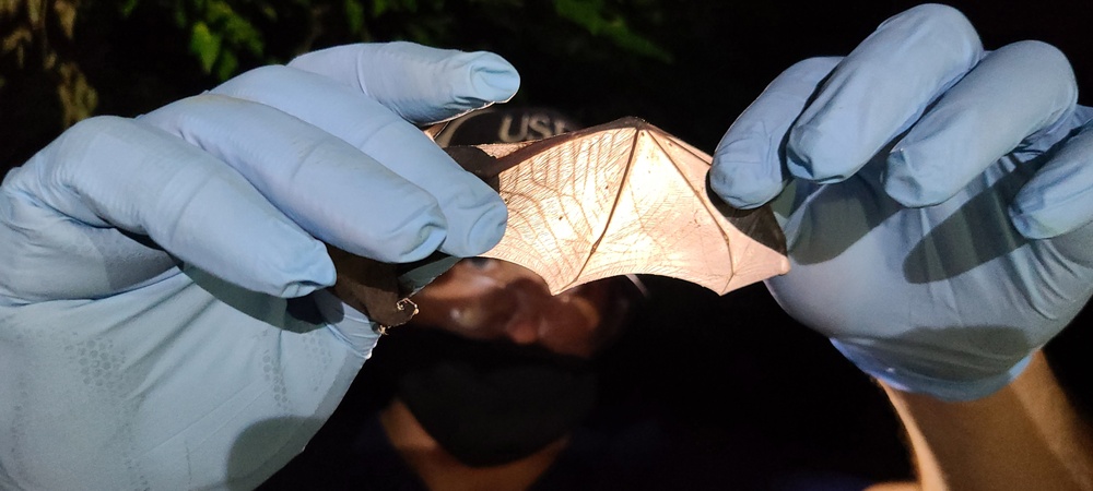Intergovernmental Support Agreement: Fort Campbell partners with local university to track endangered bat species
