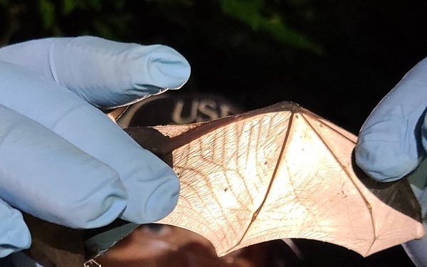 Intergovernmental Support Agreement: Fort Campbell partners with local university to track endangered bat species