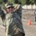 Cal Guard's 49th MPs host Best Warrior Competition Cal Guard's 49th MPs host Best Warrior Competition