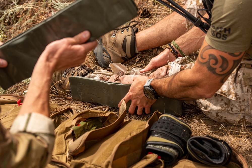 Joint Search and Rescue Training with the IDANG and U.S. Navy