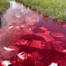 Coast Guard and local agencies respond to diesel spill on James Island
