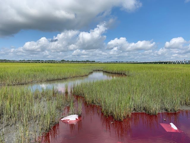 Coast Guard and local agencies respond to diesel spill on James Island