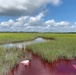 Coast Guard and local agencies respond to diesel spill on James Island