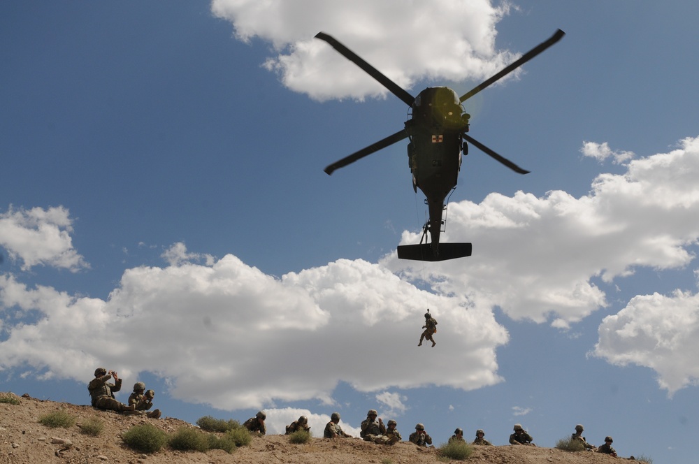 Black Hawk Airlifts 204th Soldiers During “Dust Off”