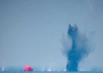 UAE, U.S. Forces Conduct Aviation Live Fire Exercise in Arabian Gulf