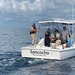 Coast Guard, Texas Parks &amp; Wildlife Department, NOAA conduct Operation Reel-It-In