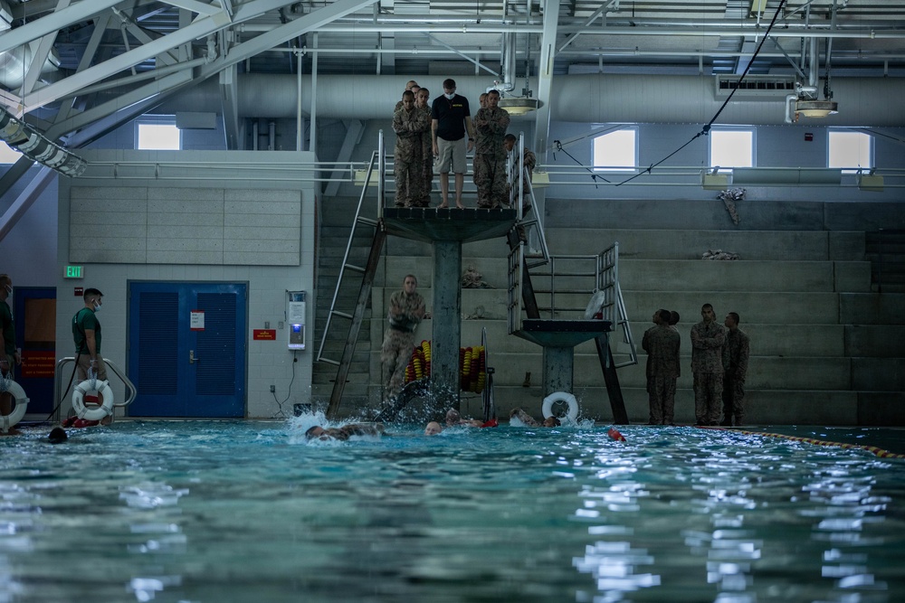 Fox Company Swim Qual