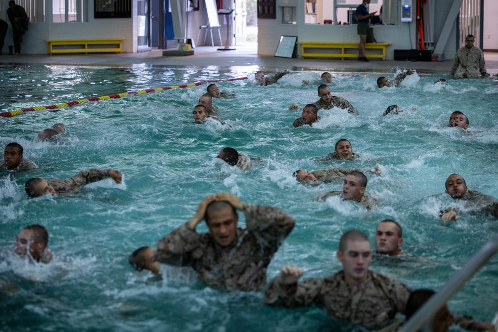 Fox Company Swim Qual
