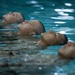 Fox Company Swim Qual