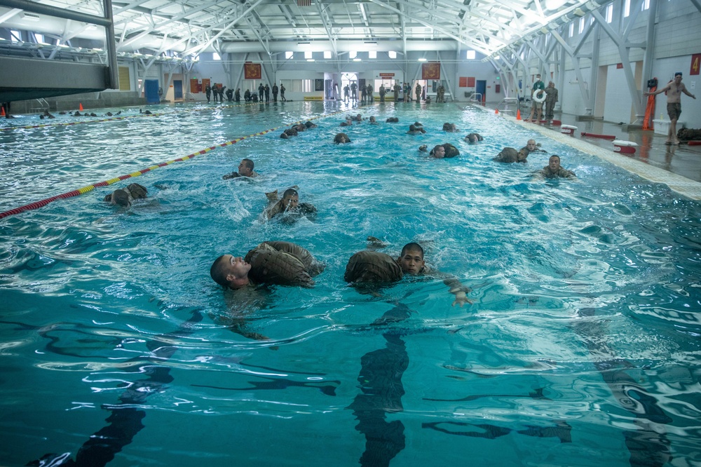Fox Company Swim Qual