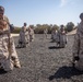 Bravo Company MCMAP