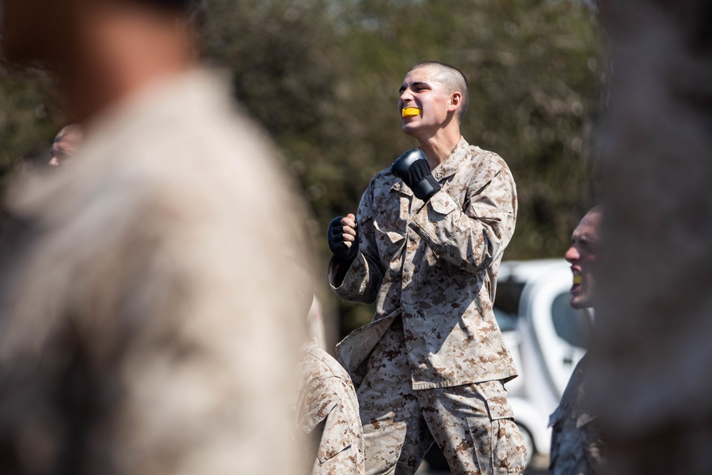 Bravo Company MCMAP