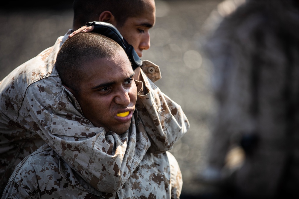 Bravo Company MCMAP