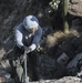 High-end, high angle rappelling