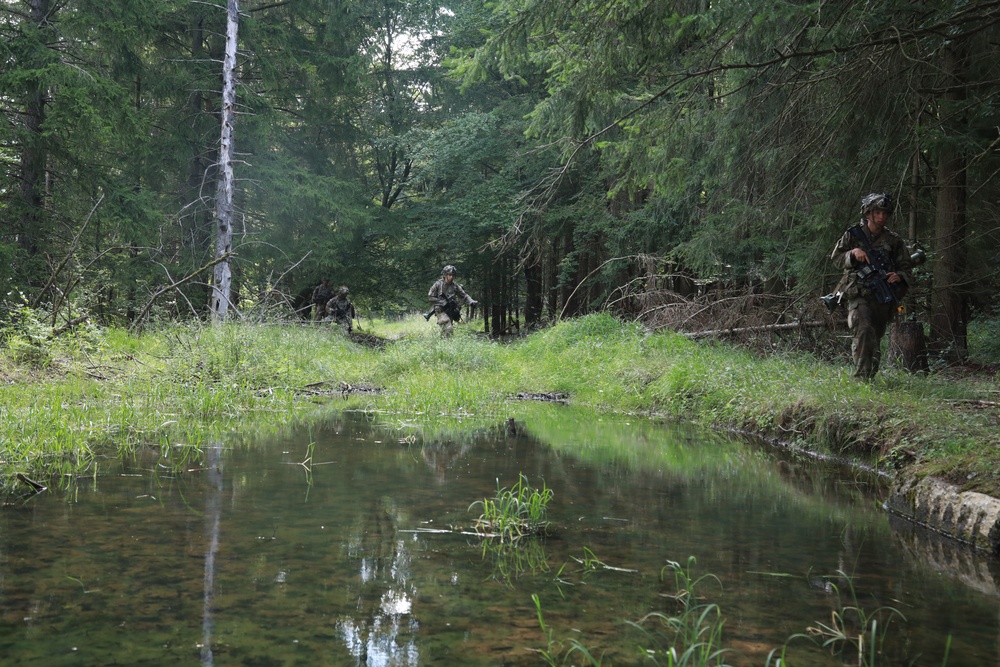 Across the bog