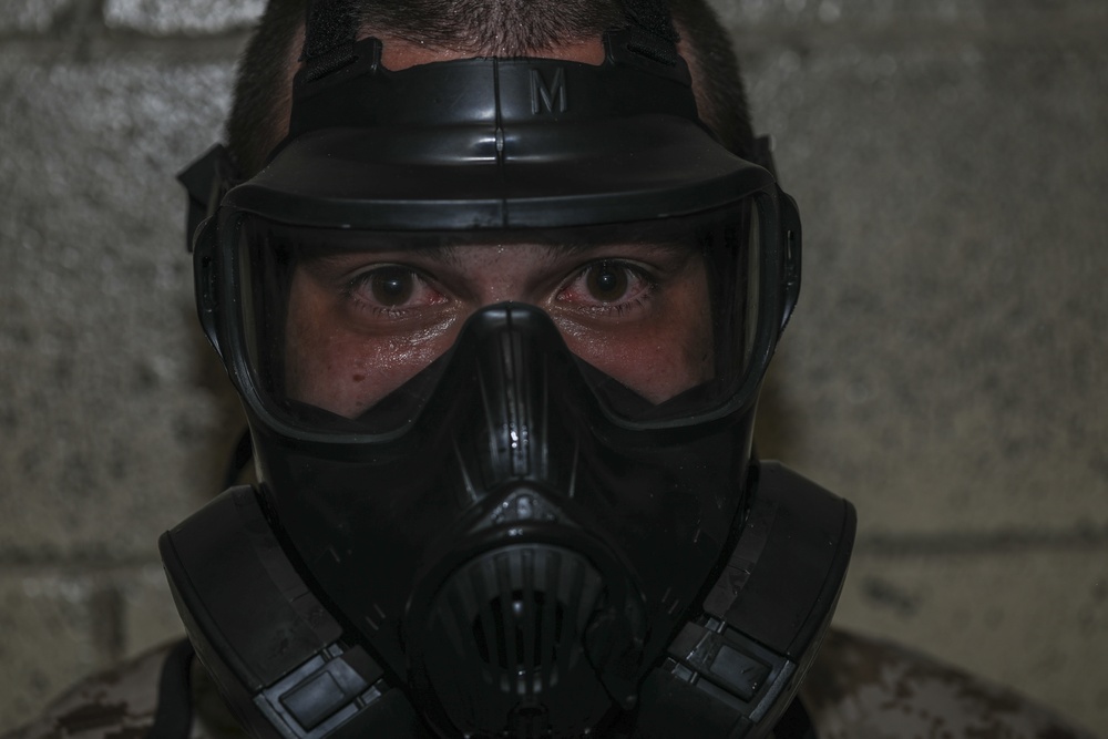 Mike Company Gas Chamber