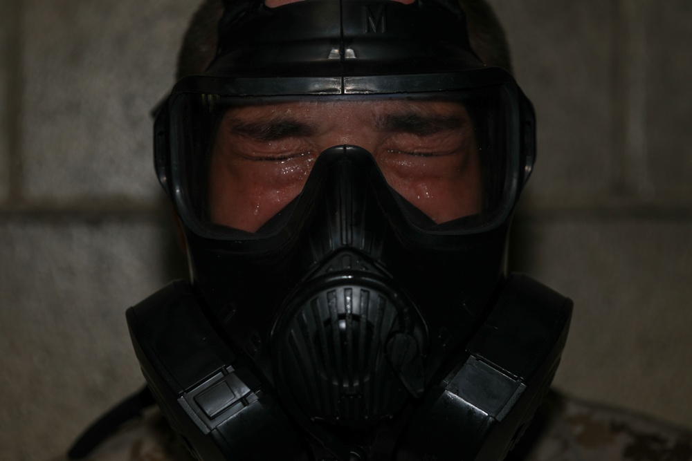 Mike Company Gas Chamber