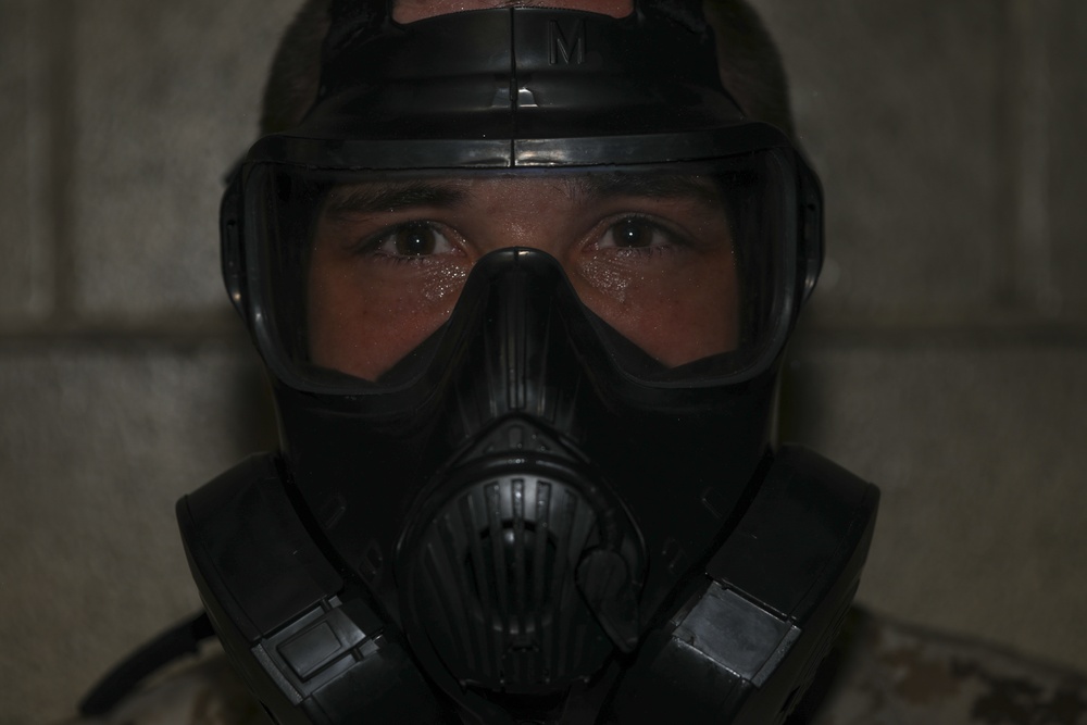 Mike Company Gas Chamber