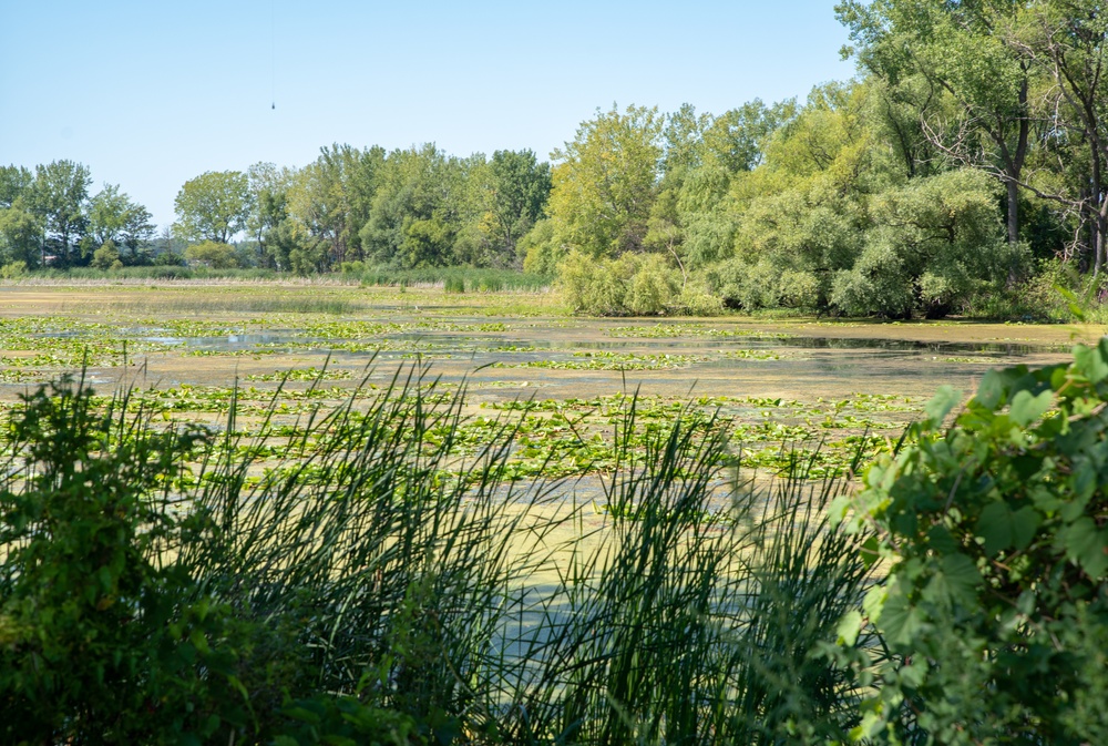 DVIDS - Images - Braddock Bay ecosystem restoration project completion ...