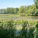 Braddock Bay ecosystem restoration project completion media event