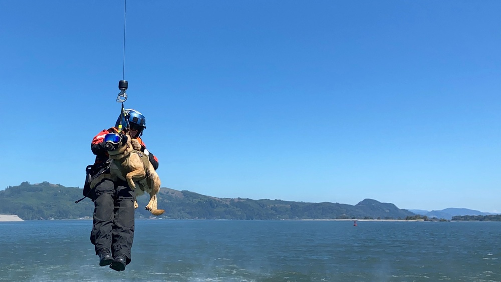 Coast Guard Canine Explosive Detection Team trains on Columbia River, OR