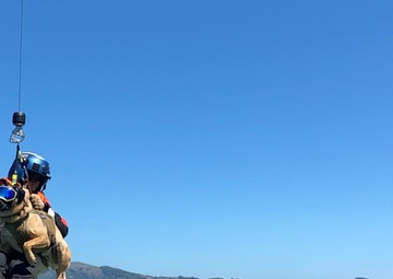 Coast Guard Canine Explosive Detection Team trains on Columbia River, OR