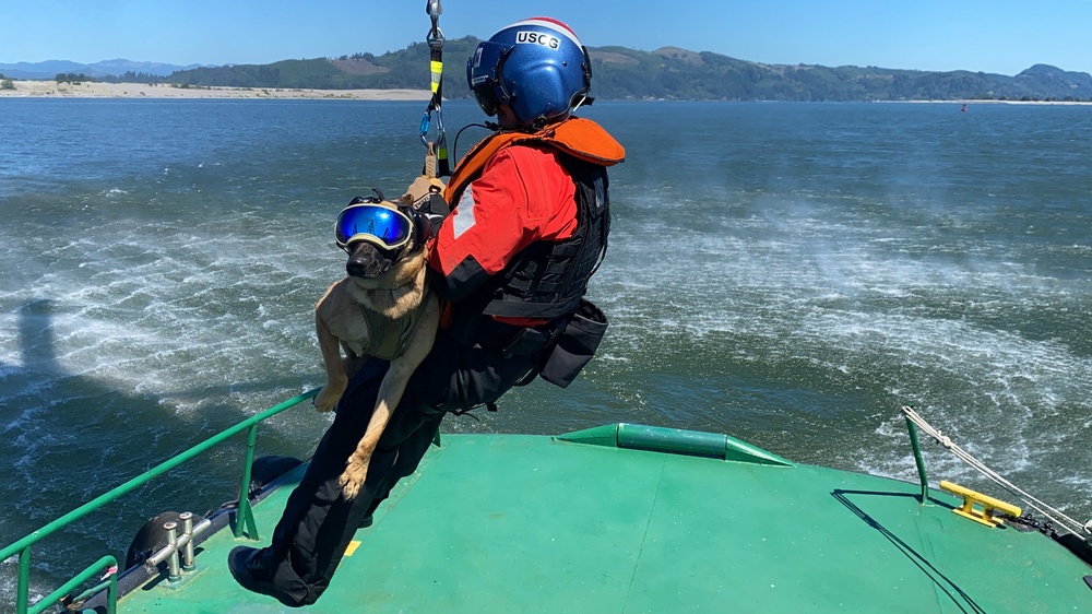 Coast Guard Canine Explosive Detection Team trains on Columbia River, OR