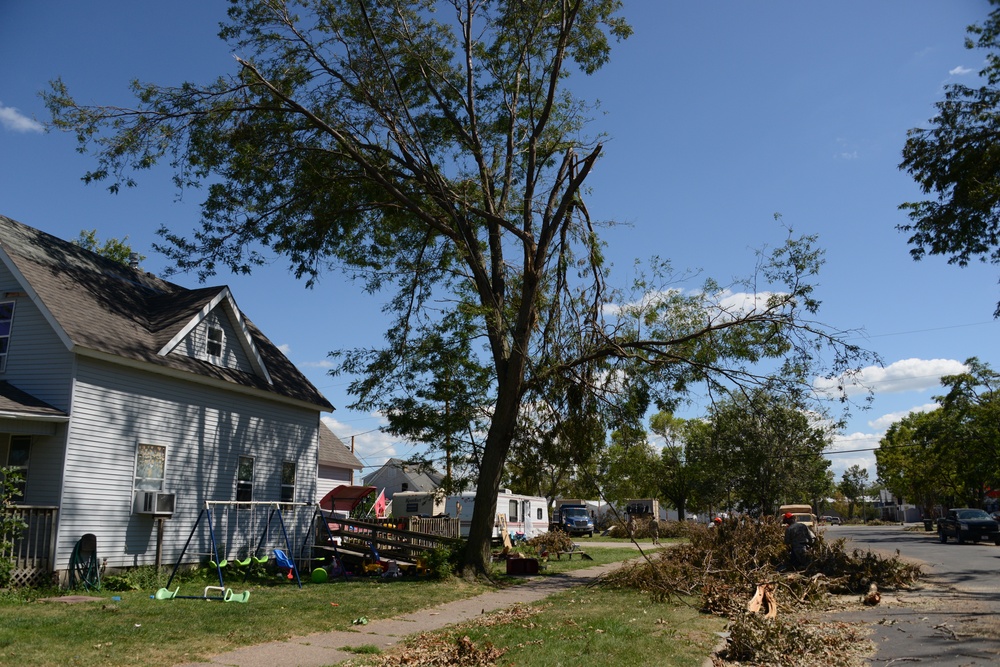 Broken tree